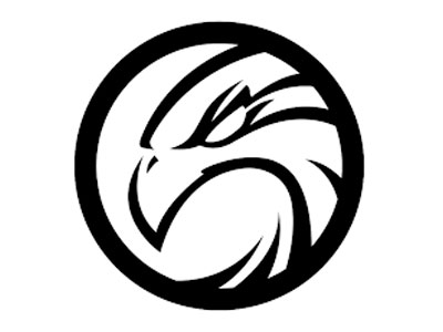 VP Groups client logo